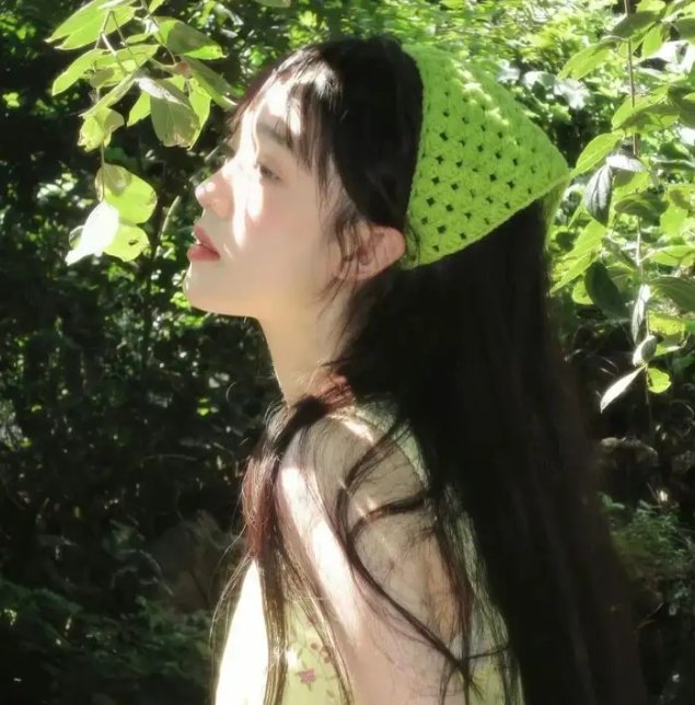 狼之谜 海报